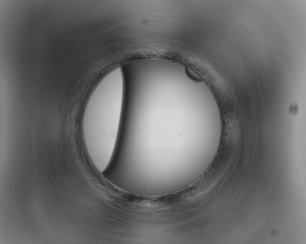 X0000097950498200803241022