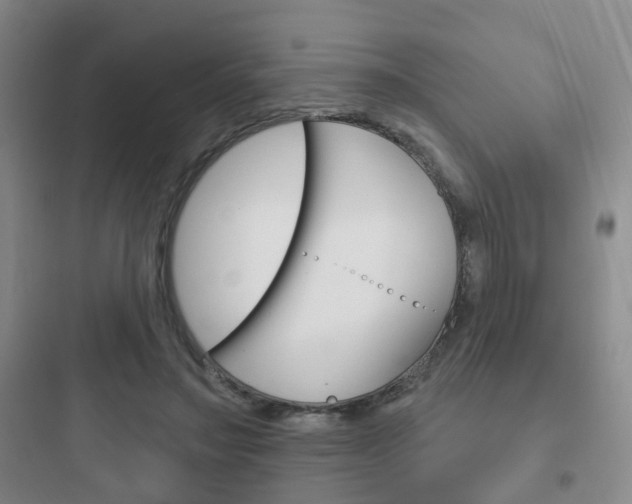 X0000097950499200803241022