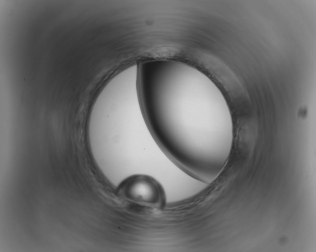 X0000097950501200803241022