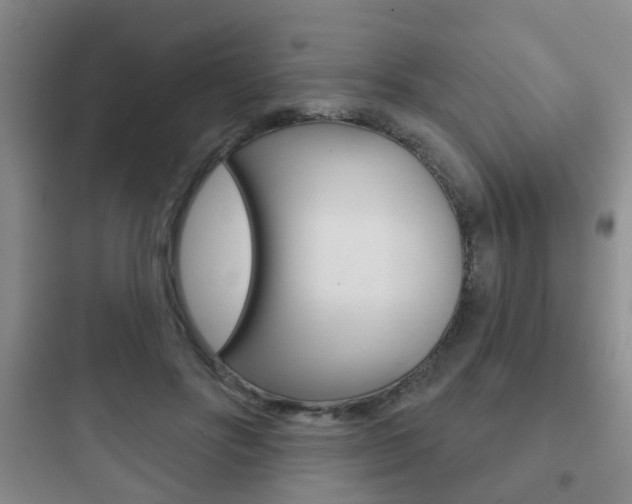 X0000097950502200803241022