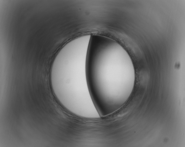 X0000097950505200803241022