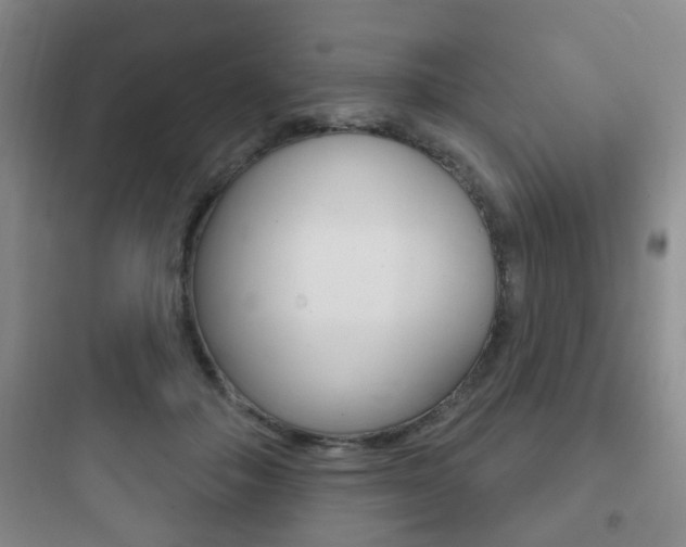 X0000097950506200803241022