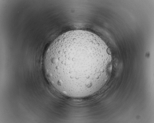 X0000097950507200803241022