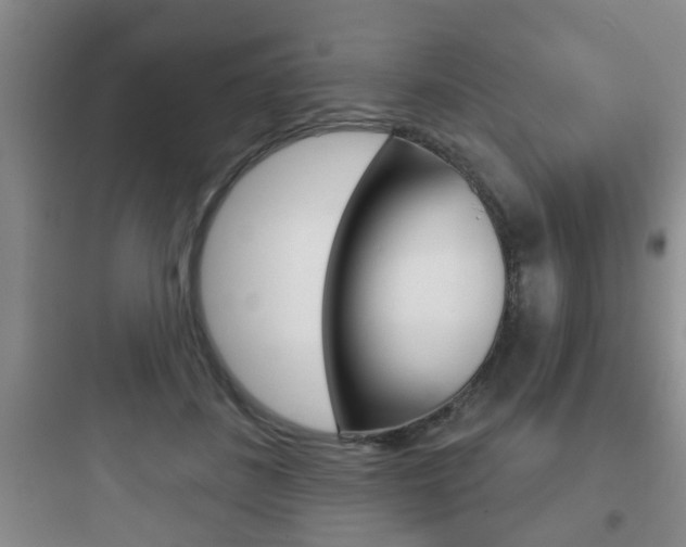 X0000097950508200803241022