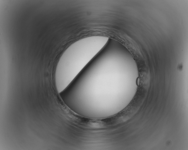 X0000097950510200803241022