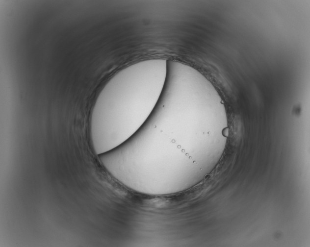 X0000097950511200803241022