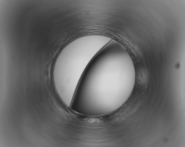 X0000097950512200803241022