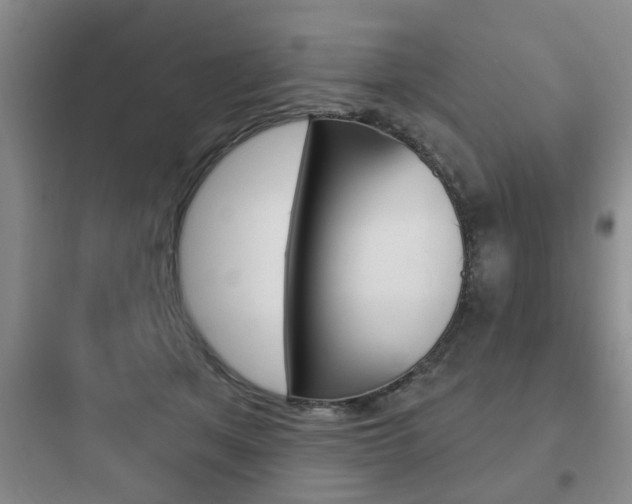 X0000097950513200803241022