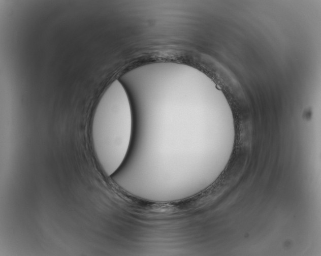 X0000097950514200803241022