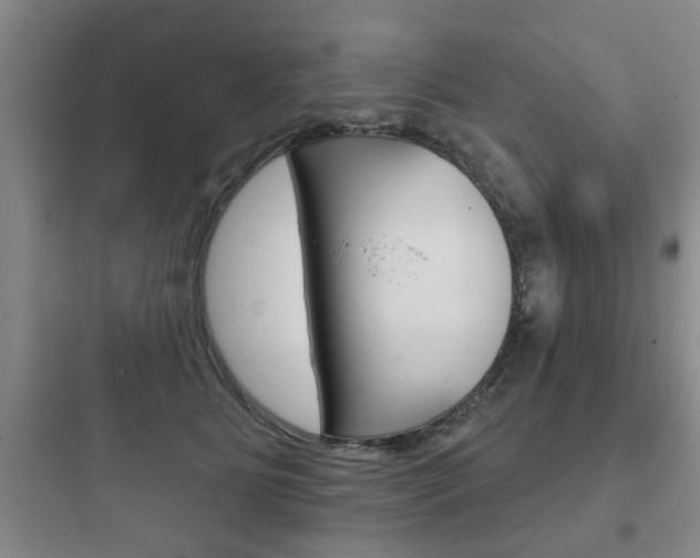X0000097950515200803241022