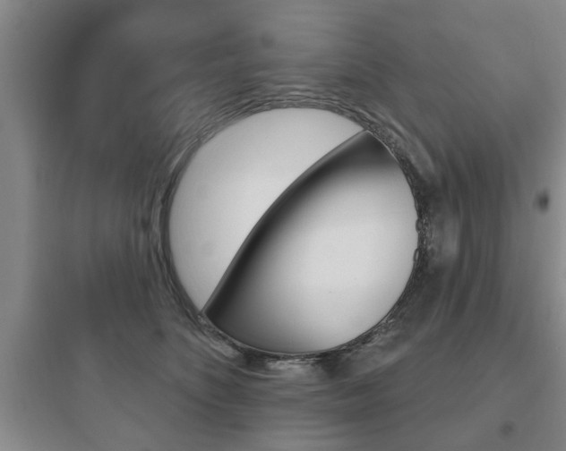X0000097950516200803241022