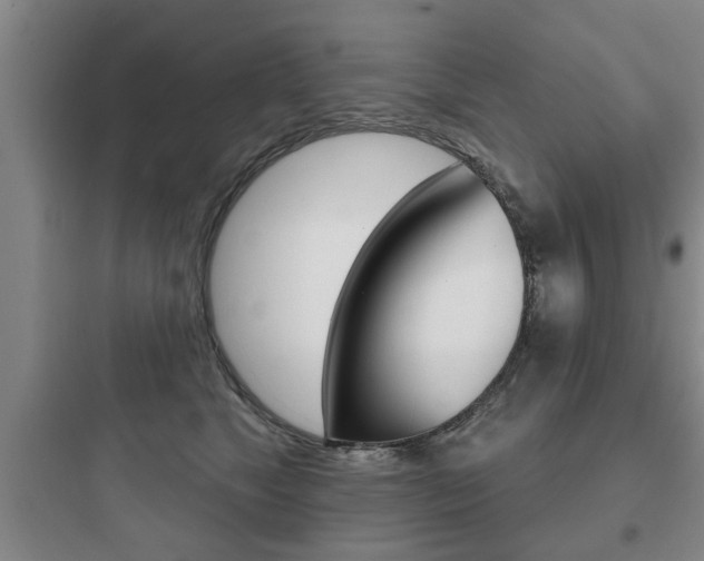 X0000097950517200803241022