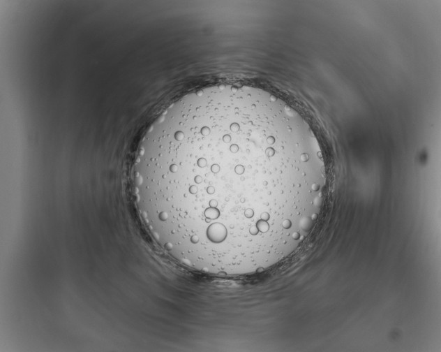 X0000097950519200803241022