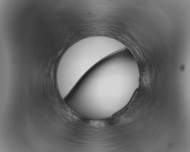 X0000097950520200803241022