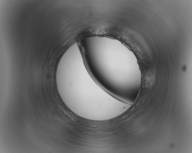 X0000097950521200803241022