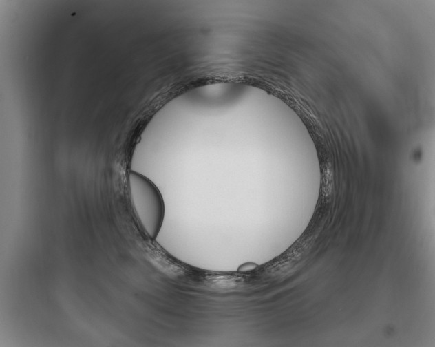 X0000097950522200803241022