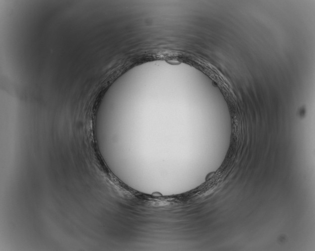 X0000097950523200803241022
