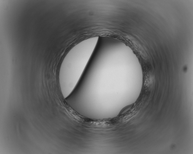 X0000097950524200803241022