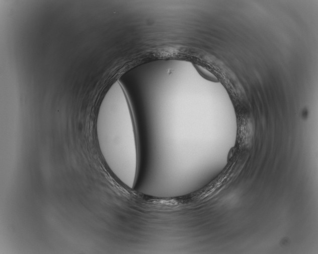 X0000097950525200803241022