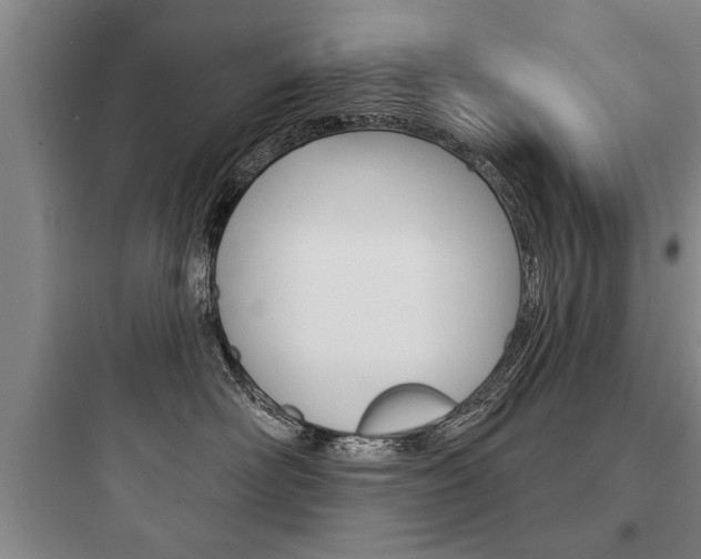 X0000097950526200803241022