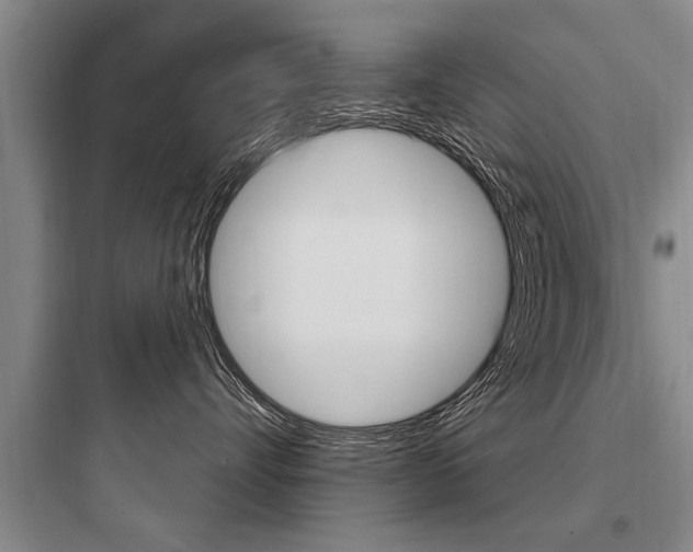 X0000097950528200803241021