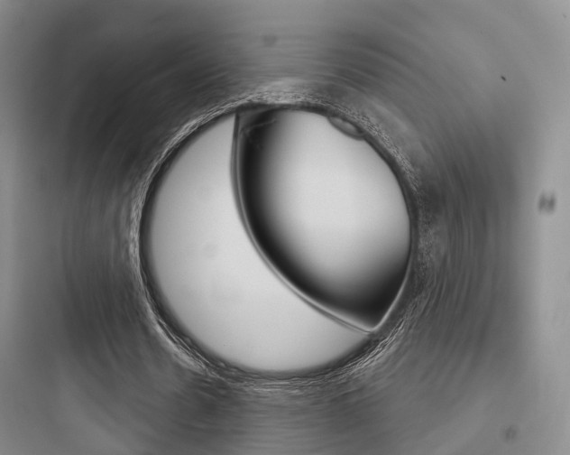 X0000097950530200803241021