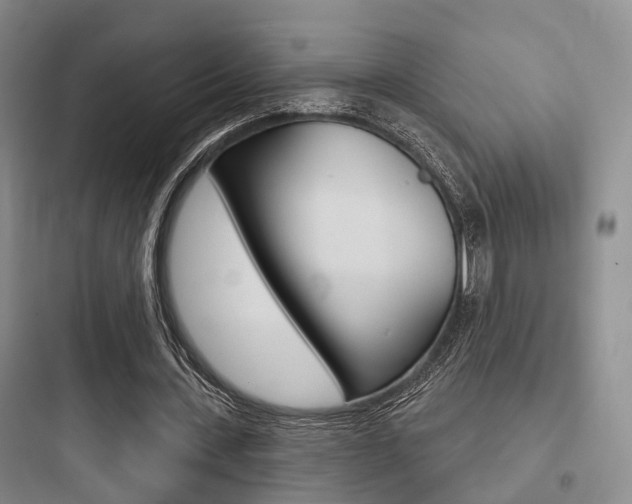 X0000097950531200803241021