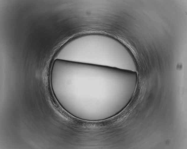 X0000097950533200803241021