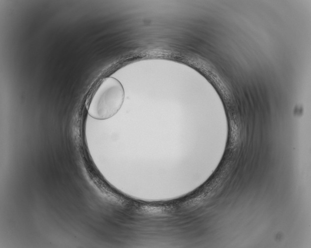 X0000097950534200803241021