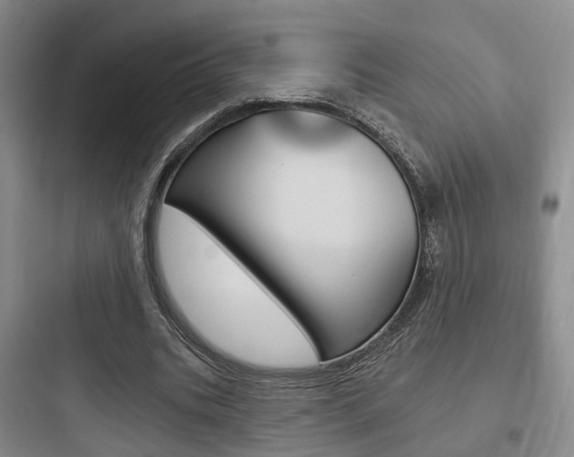 X0000097950535200803241021