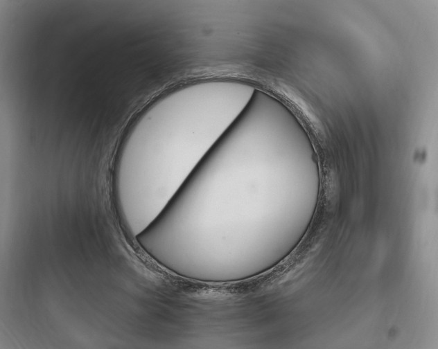 X0000097950537200803241021