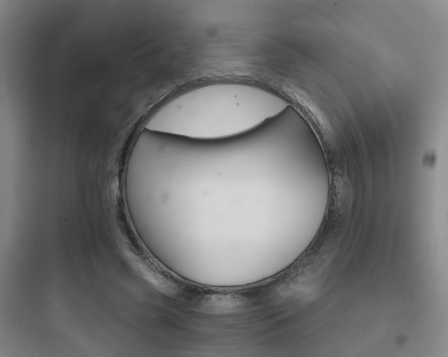 X0000097950541200803241021