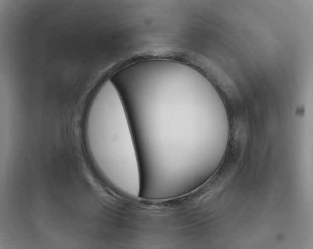 X0000097950542200803241021