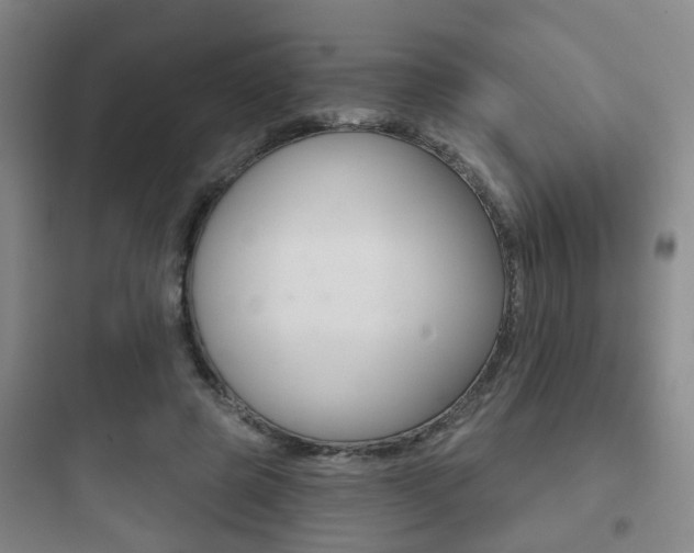 X0000097950545200803241021