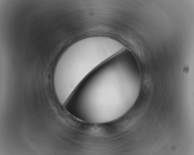 X0000097950547200803241021