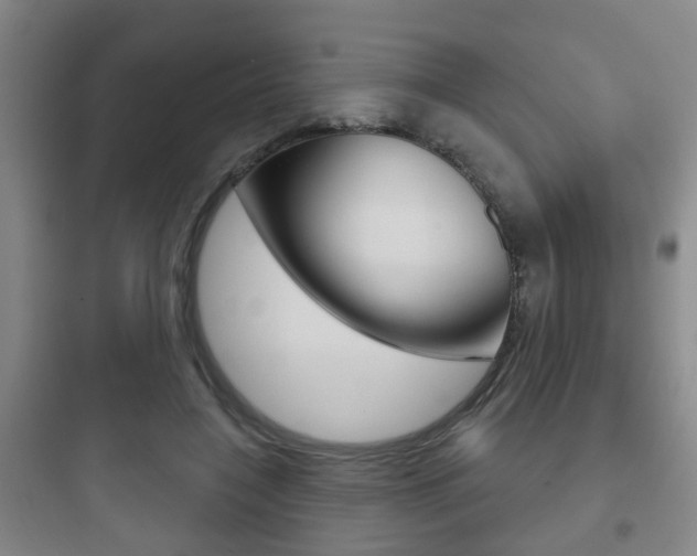 X0000097950548200803241021