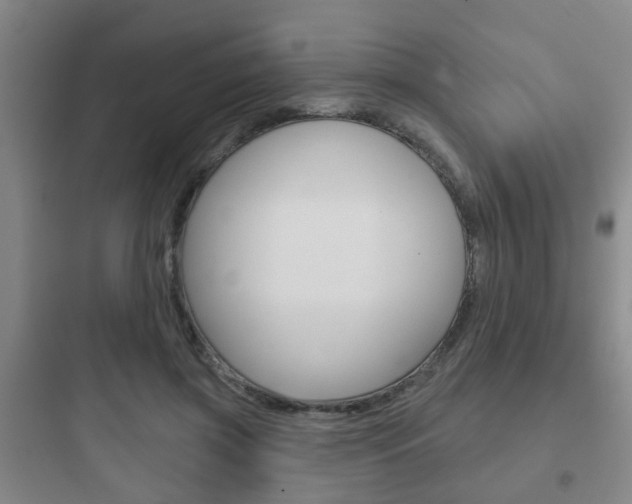 X0000097950549200803241021