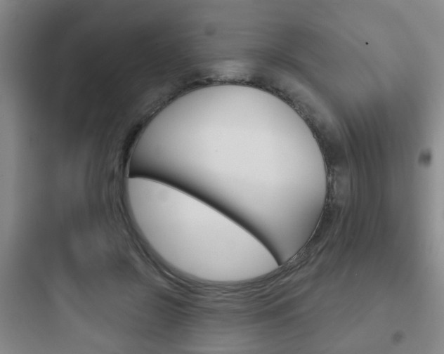 X0000097950550200803241021