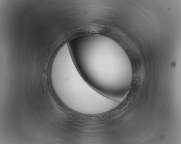 X0000097950552200803241021