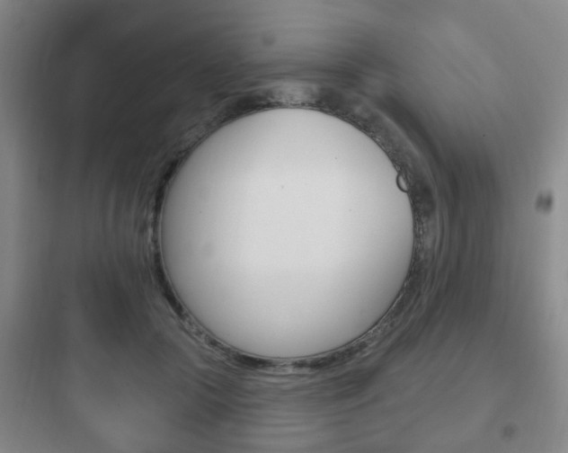 X0000097950553200803241021