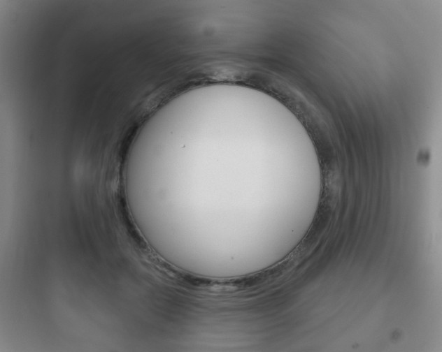 X0000097950554200803241021