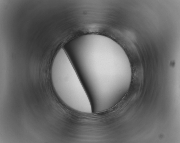 X0000097950555200803241021