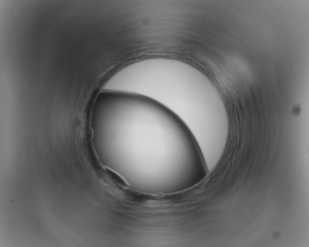 X0000097950556200803241021