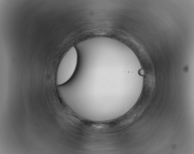 X0000097950557200803241021