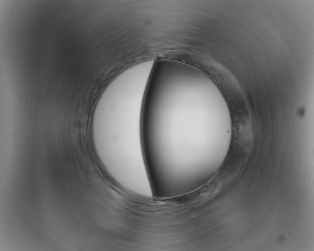 X0000097950558200803241021