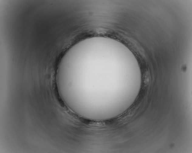 X0000097950559200803241021