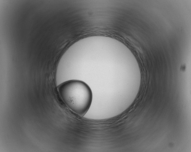 X0000097950560200803241021