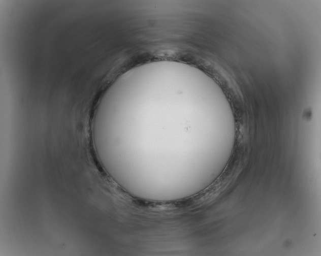 X0000097950561200803241021
