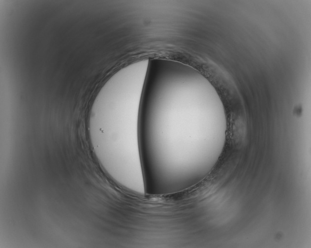 X0000097950562200803241021