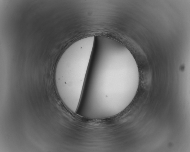 X0000097950563200803241021